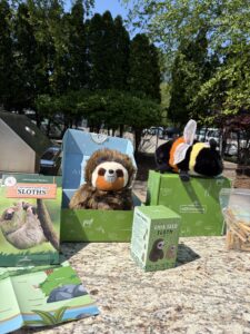 Image of an open edZOOcation box with a sloth and bee stuffy